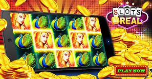7kbet bet